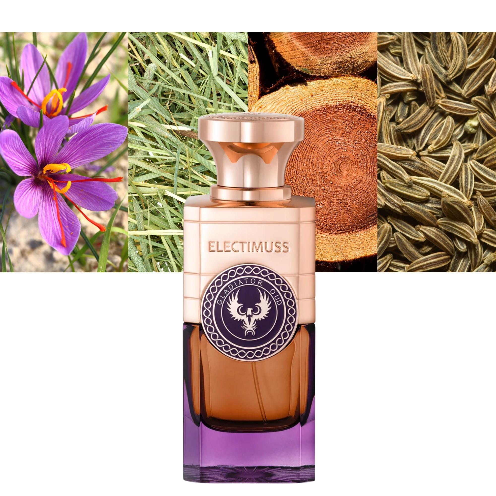 ELECTIMUSS  Gladiator Oud