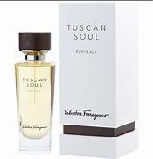 FERRAGAMO Tuscan Incence Suede BOT