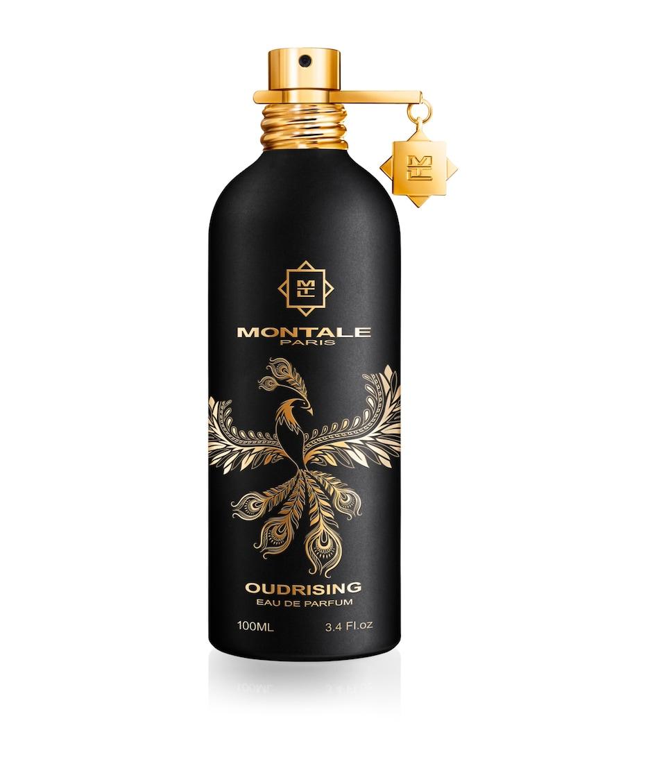 MONTALE OUDRISING BOT