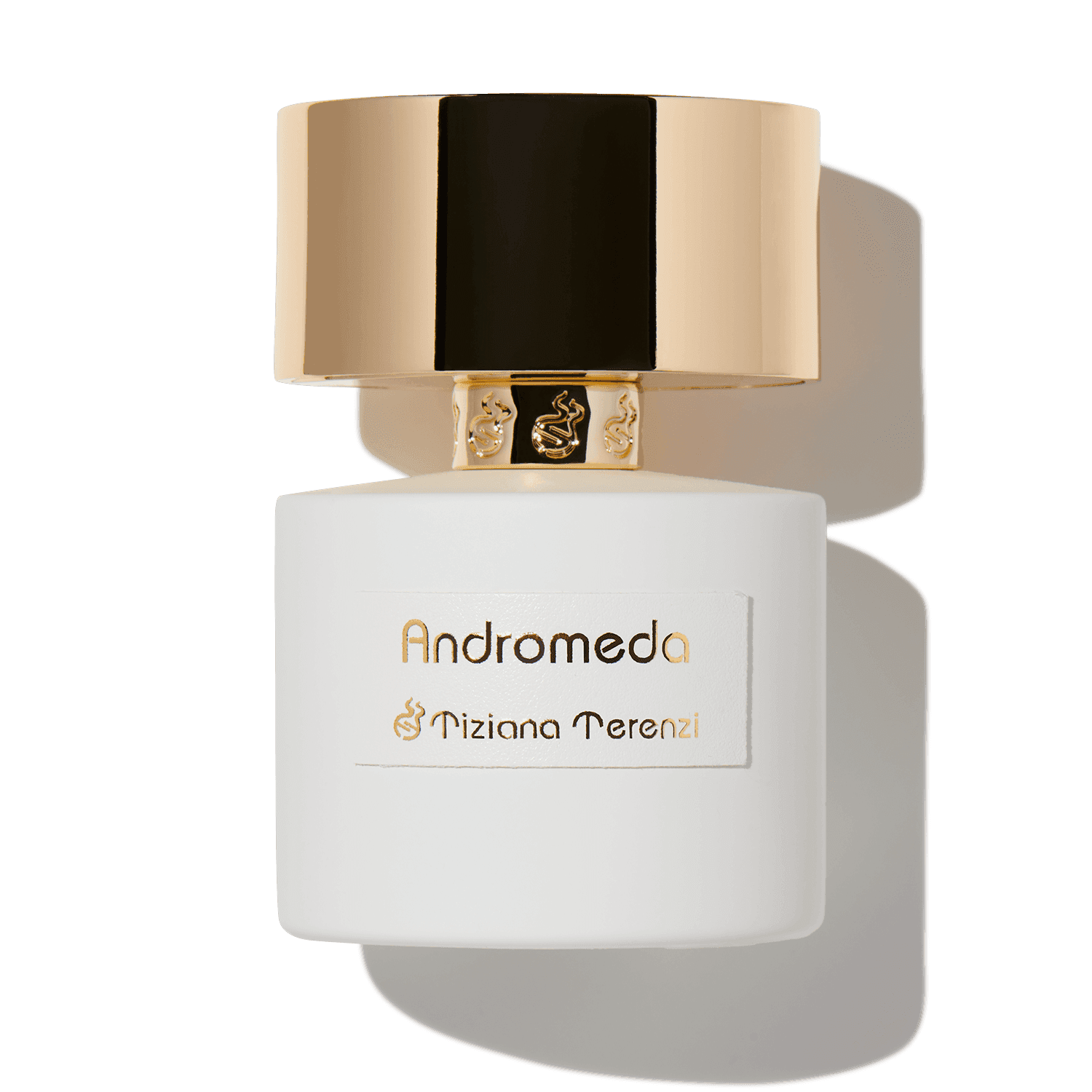 TIZIANA TERENZI ANDROMEDA